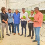 La empresa pachequera Auxprotec facilita el cultivo hidropónico reduciendo el empleo de agua y nitratos, el consejero de Agricultura visitó el invernadero experimental de la mercantil junto con el Alcalde del municipio.