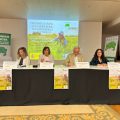Jornadas AFAMMER
