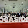 Vehículo Ocasión