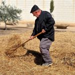 Roldán pone en valor nuestras tradiciones, patrimonio cultural, histórico y etnográfico con la celebración de La Fiesta de la Trilla los días 9, 10 y 11 de mayo.