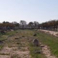 Rambla SUR