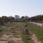El Ayuntamiento publica la licitación de la obra de renaturalización de la Rambla Sur de Torre Pacheco