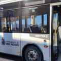 Bus urbano